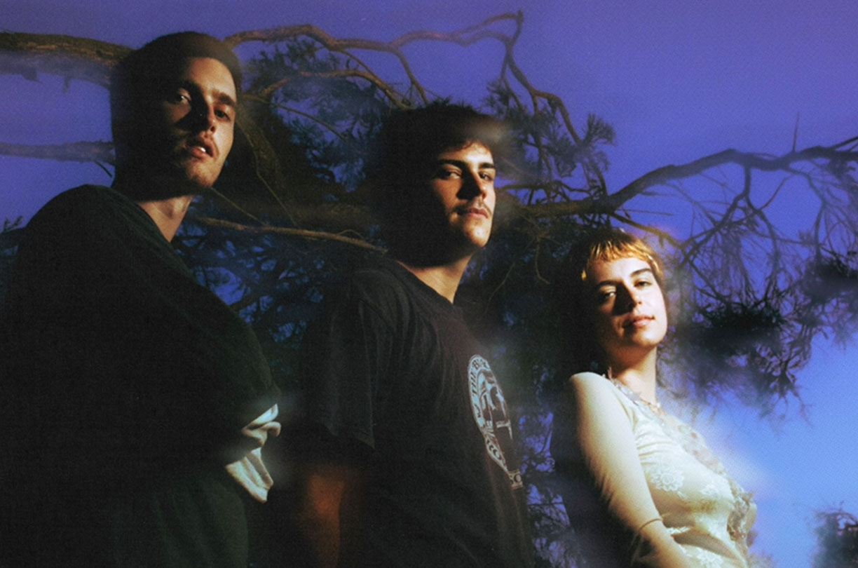 Symmetrical Dogs (WA)